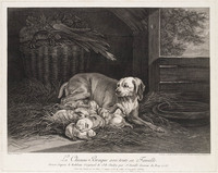 KG 13271
<br/>
de hond Braque en haar familie
<br/>
<em>Daullé, Jean (1703-1763)</em>